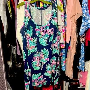 Lilly Pulitzer Raylee dress Large